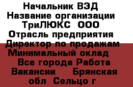 Начальник ВЭД › Название организации ­ ТриЛЮКС, ООО › Отрасль предприятия ­ Директор по продажам › Минимальный оклад ­ 1 - Все города Работа » Вакансии   . Брянская обл.,Сельцо г.